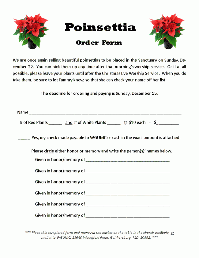 Christmas Poinsettias on Sale Now!